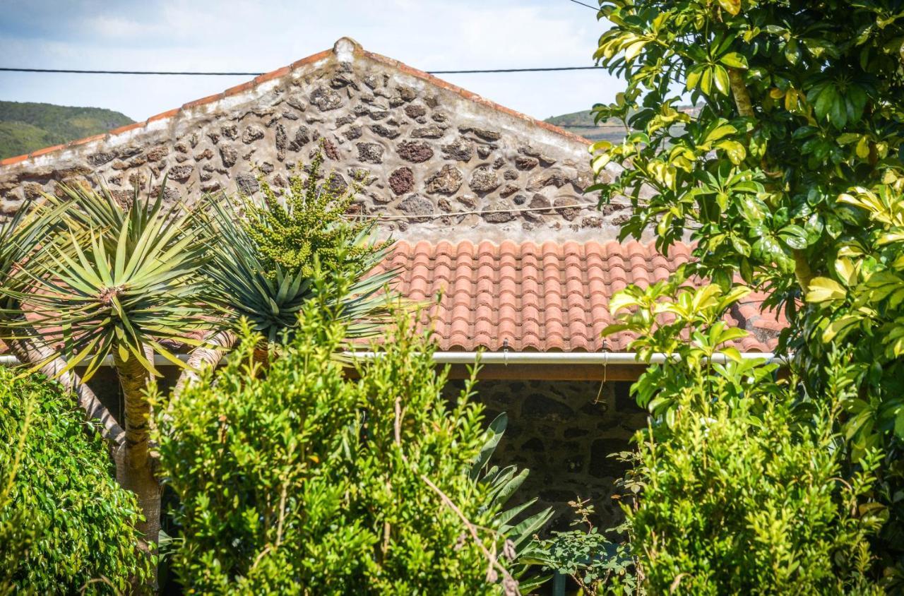 산타크루즈다그레시오사 Quinta Dos Frutos 빌라 외부 사진